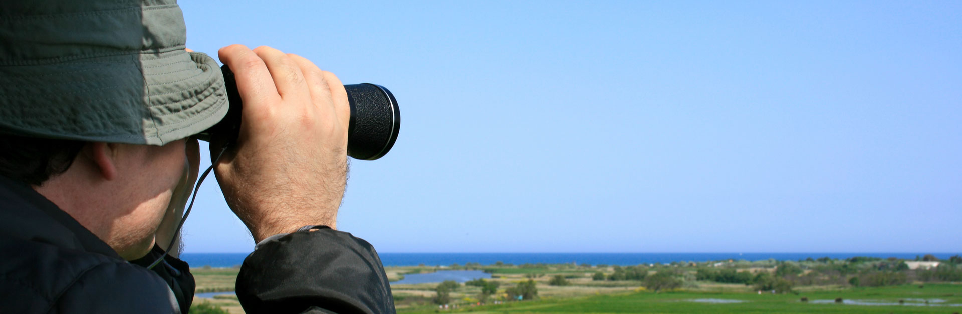 birding banner