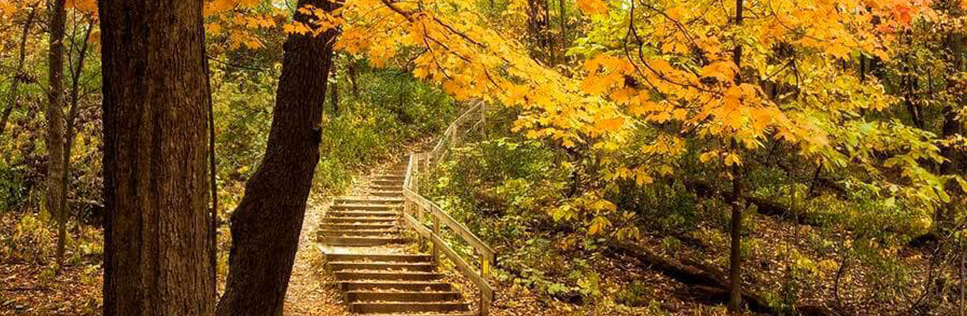 lake winnebago woods banner