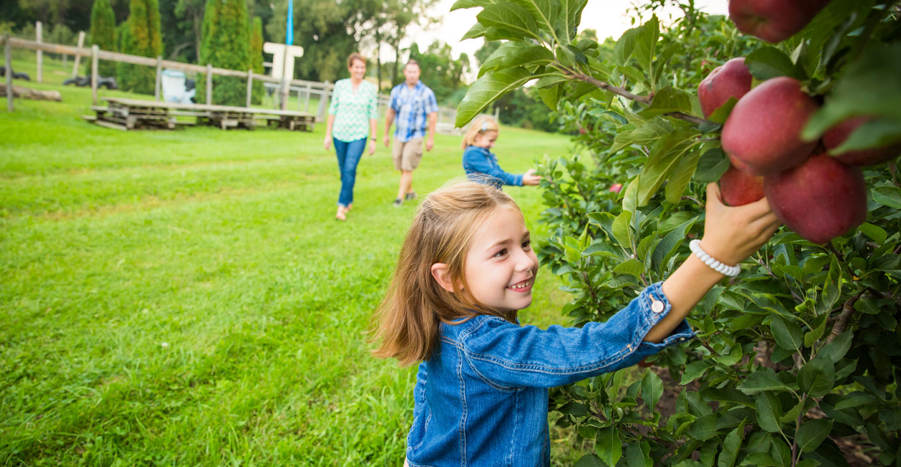 Extraordinary_Experiences-ZigZag-apple-picking