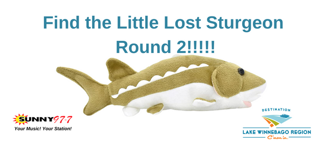 Find the Little Lost Sturgeon 9