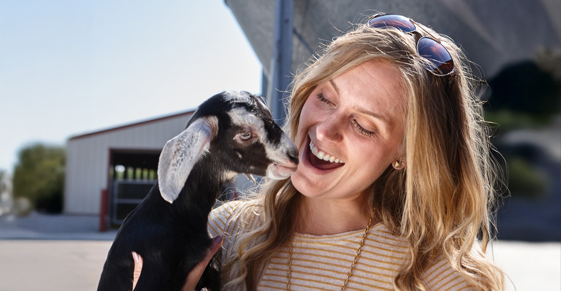 Motorcoach-ZigZag-fun-on-the-farm-new